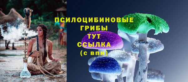 PSILOCYBIN Белокуриха